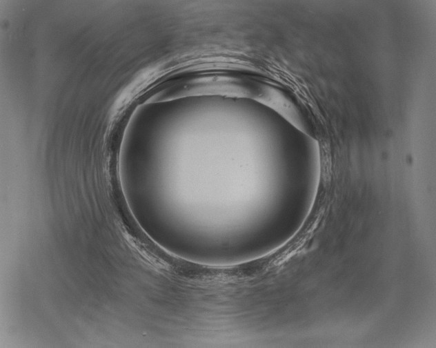 X0000068810197200605051153