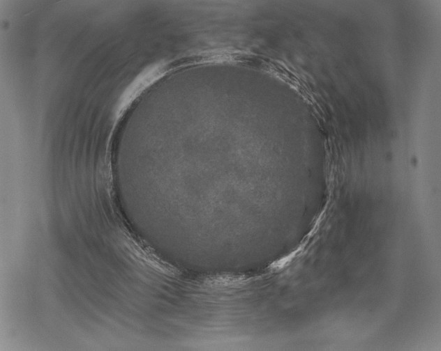 X0000068810198200605051153