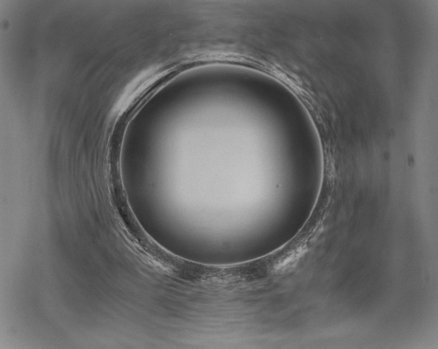 X0000068810199200605051153