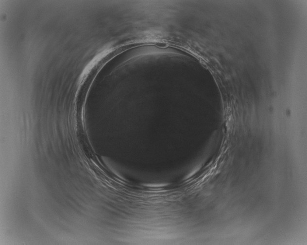 X0000068810200200605051153