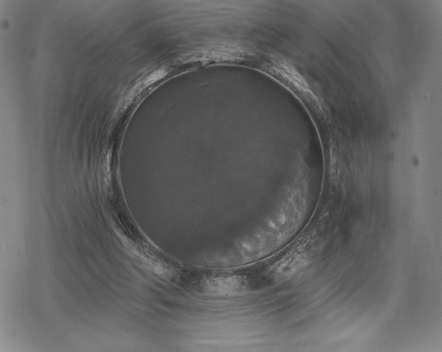 X0000068810202200605051153