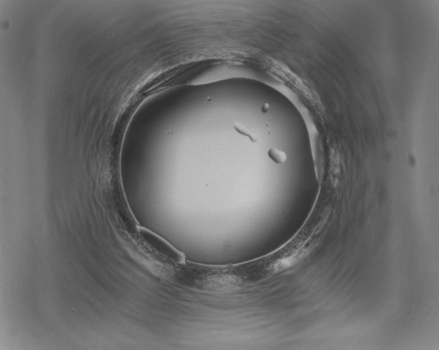 X0000068810203200605051153