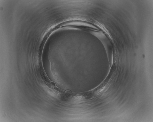 X0000068810204200605051153