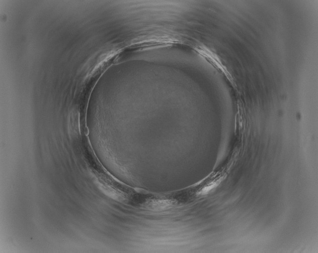 X0000068810205200605051153