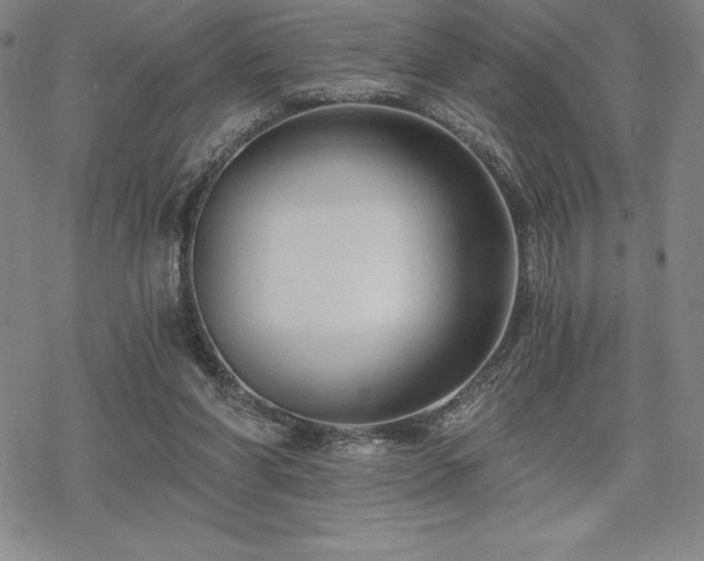 X0000068810206200605051153