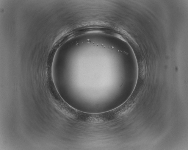 X0000068810207200605051153