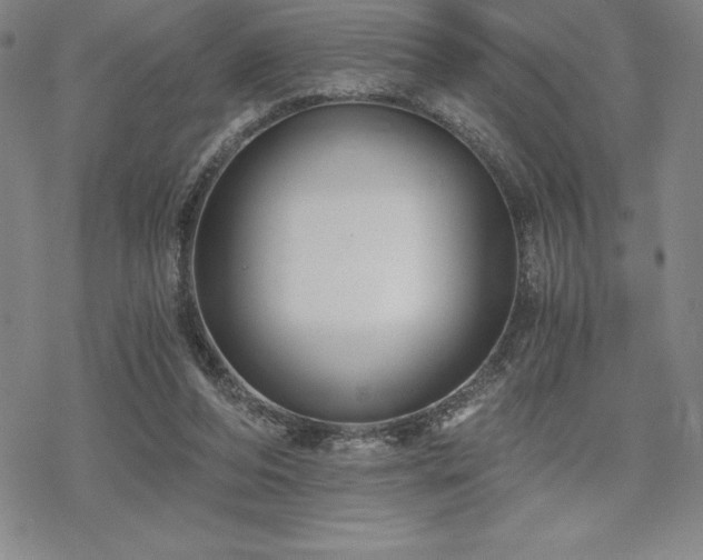 X0000068810208200605051153