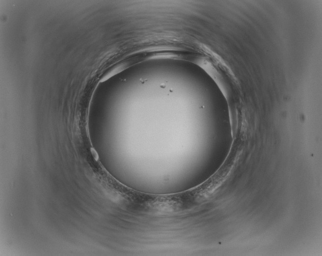 X0000068810209200605051153