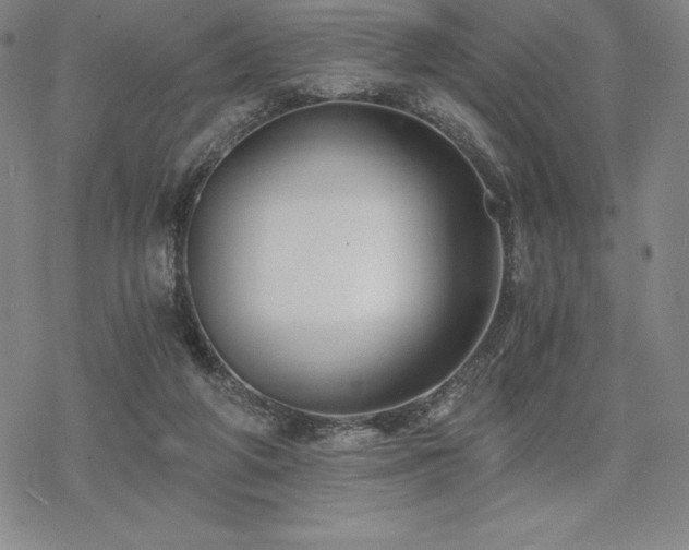 X0000068810210200605051153