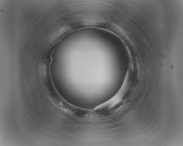 X0000068810211200605051153