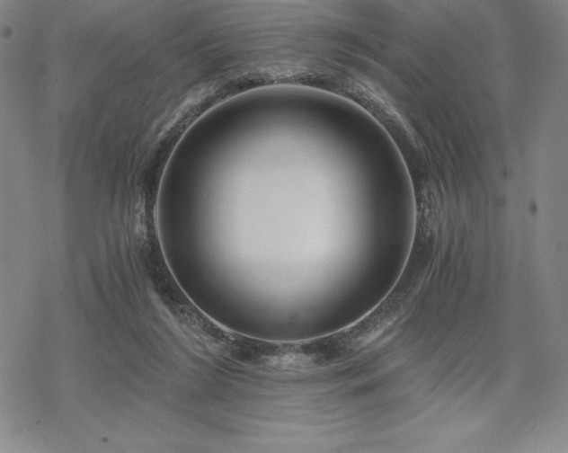 X0000068810212200605051153