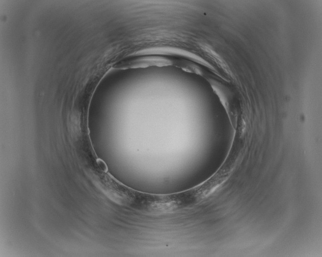 X0000068810213200605051153