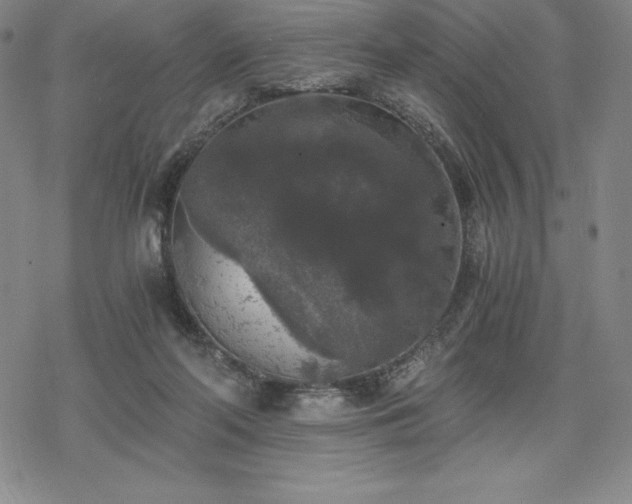 X0000068810214200605051153