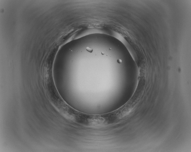 X0000068810215200605051153