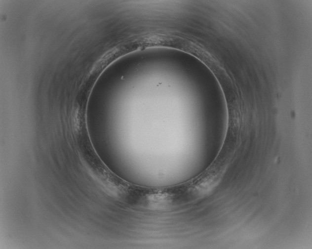 X0000068810216200605051153