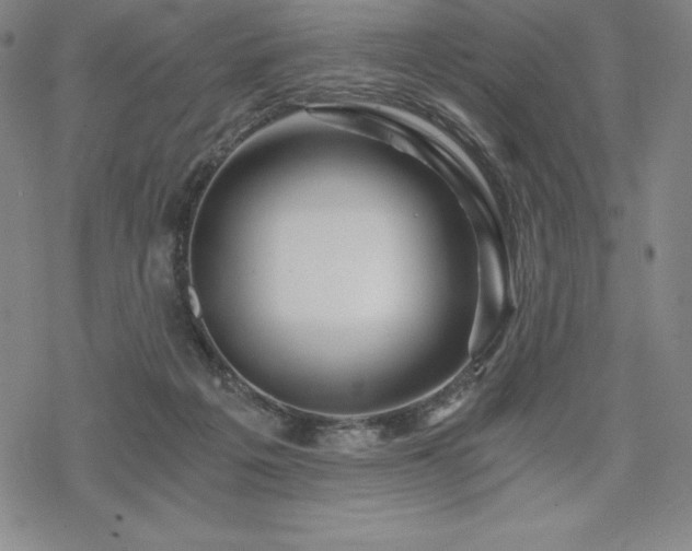 X0000068810217200605051153