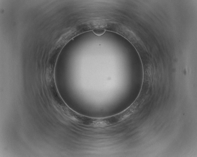 X0000068810218200605051153