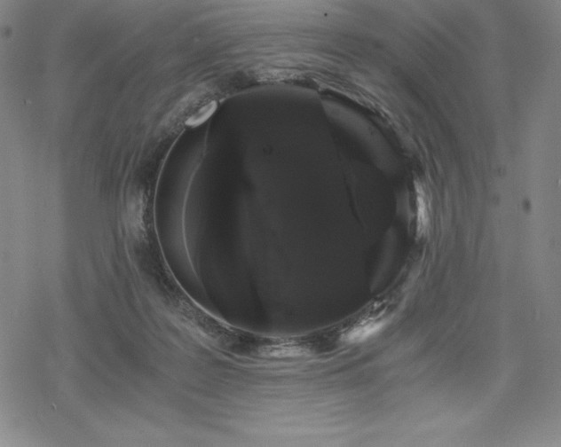 X0000068810219200605051153