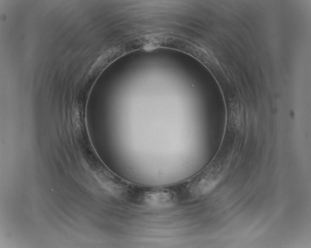 X0000068810220200605051153