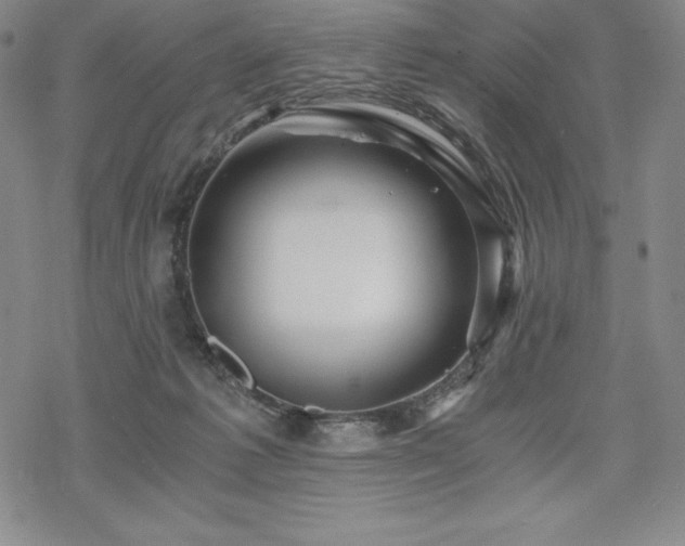 X0000068810221200605051153