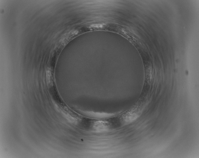 X0000068810222200605051153