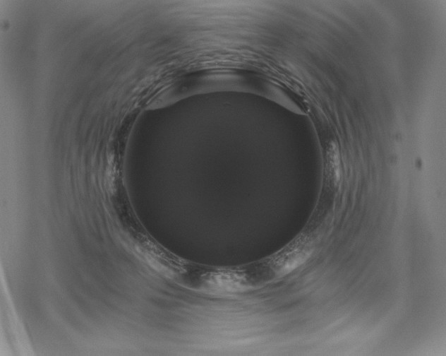 X0000068810223200605051153