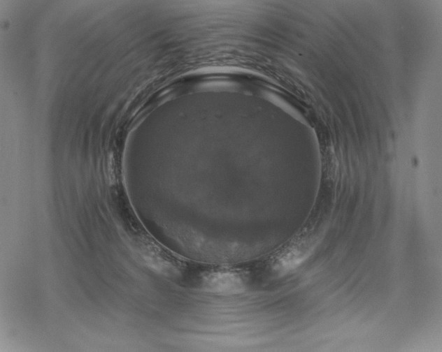 X0000068810224200605051153