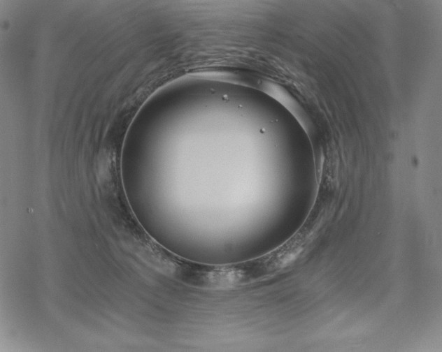 X0000068810225200605051153