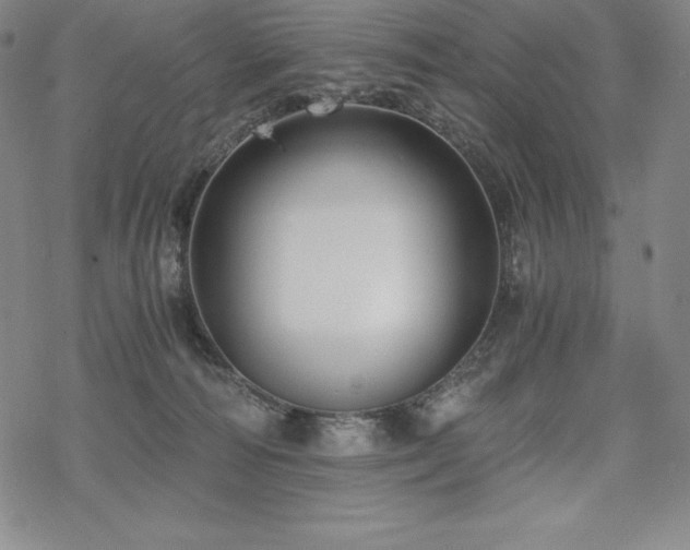 X0000068810226200605051153