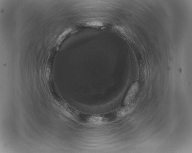 X0000068810227200605051153