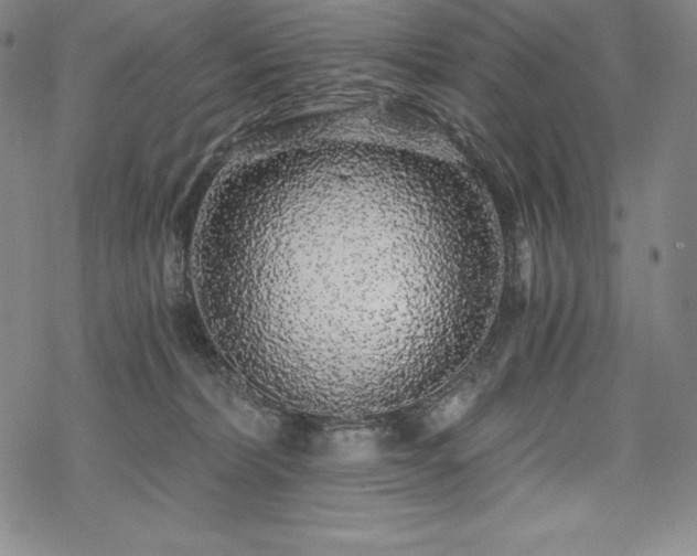 X0000068810228200605051153