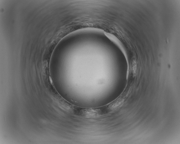 X0000068810229200605051153