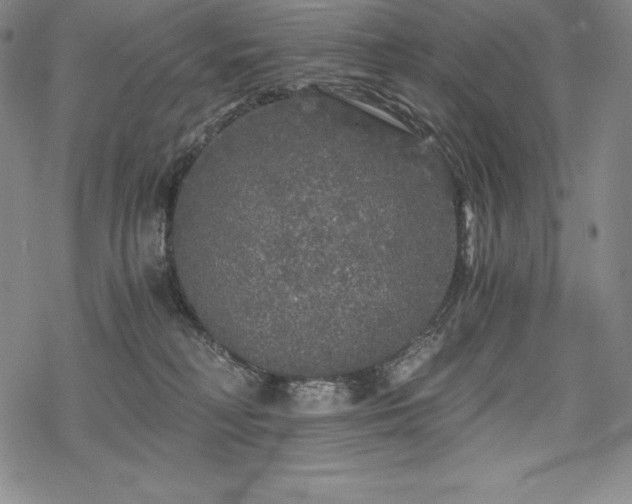 X0000068810230200605051153