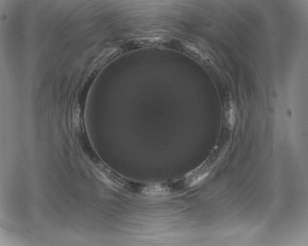 X0000068810231200605051153