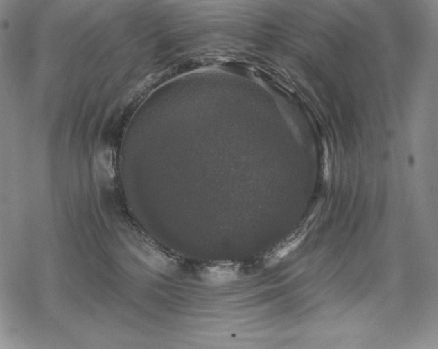 X0000068810232200605051153