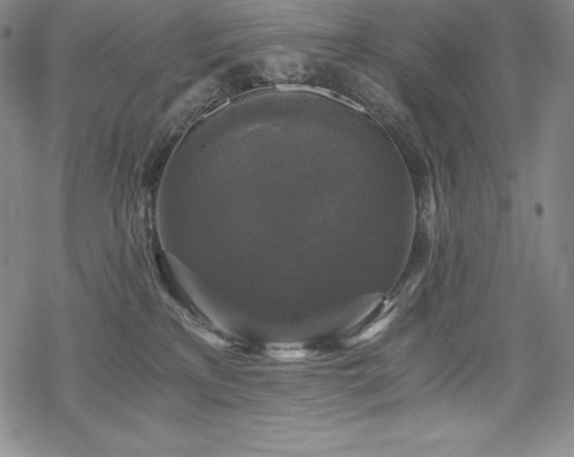 X0000068810233200605051153