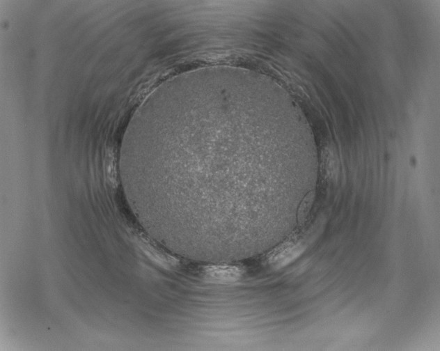 X0000068810234200605051153