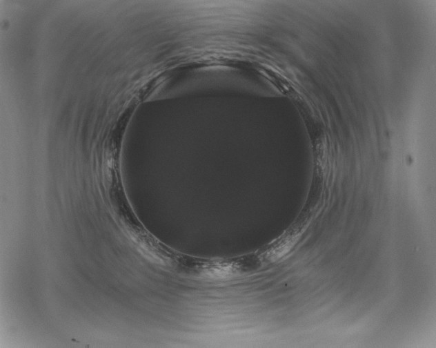 X0000068810235200605051153