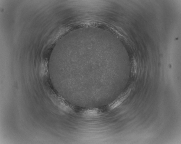 X0000068810236200605051153