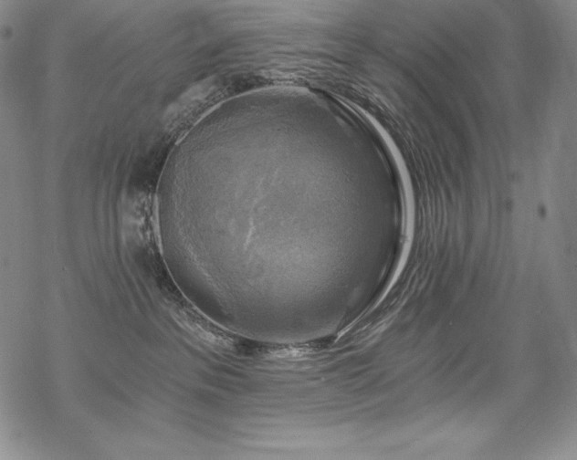 X0000068810237200605051153