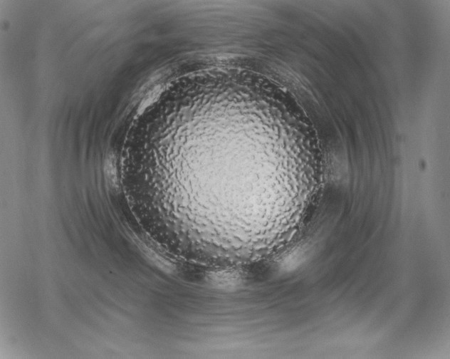 X0000068810238200605051153