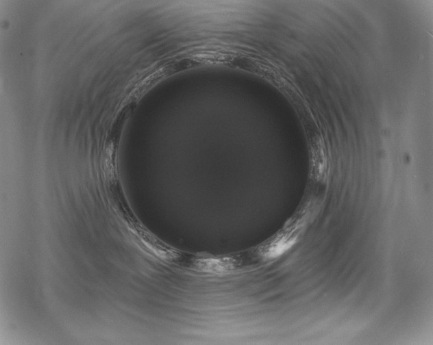 X0000068810239200605051153