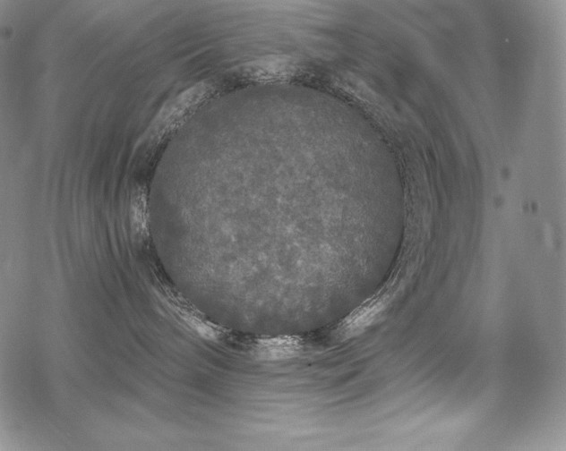 X0000068810240200605051153