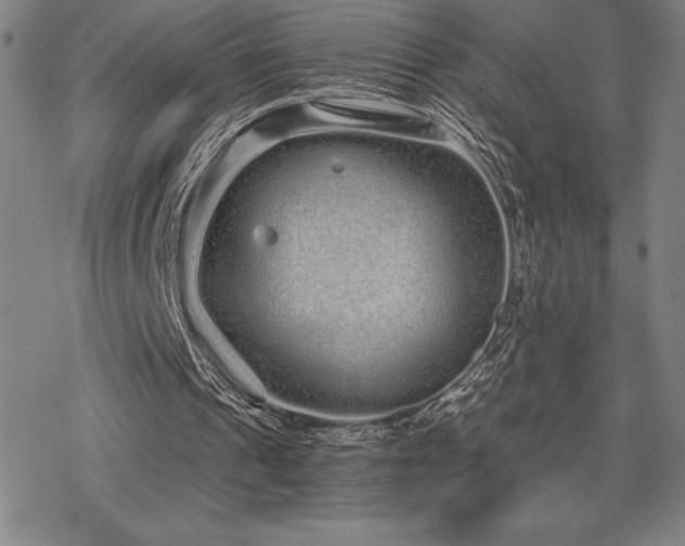 X0000068810241200605051152