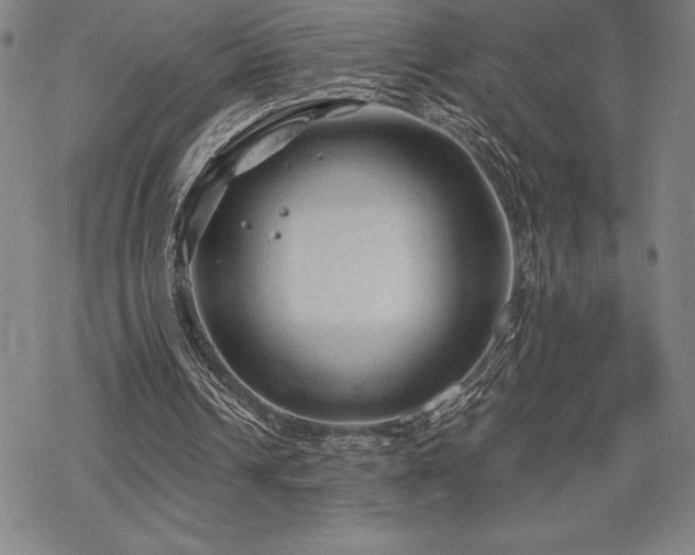 X0000068810242200605051152