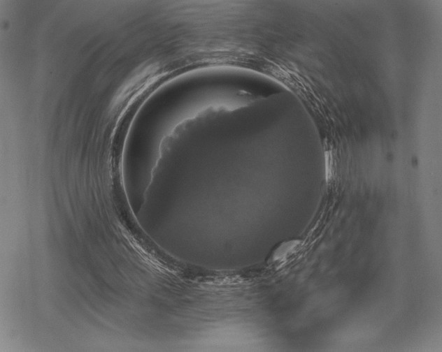 X0000068810243200605051152