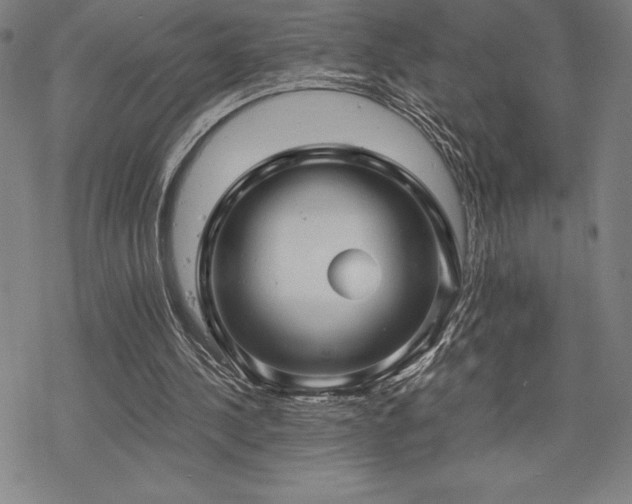 X0000068810244200605051152