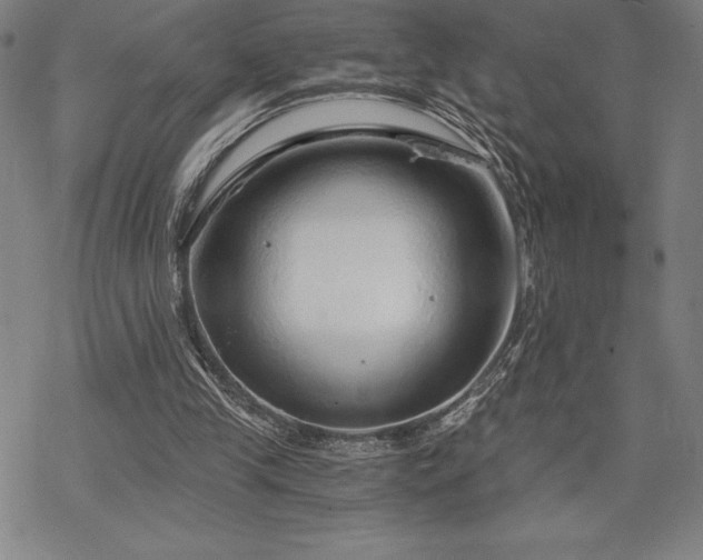 X0000068810245200605051152