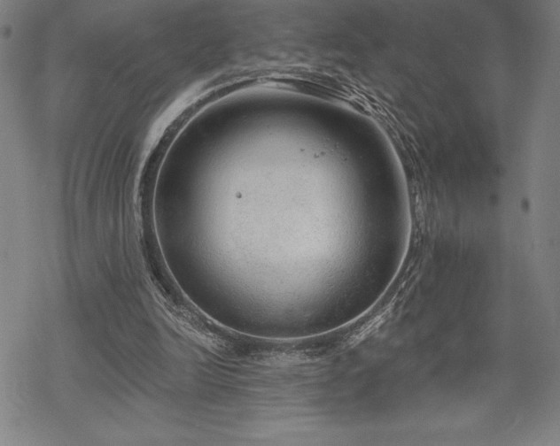 X0000068810246200605051152