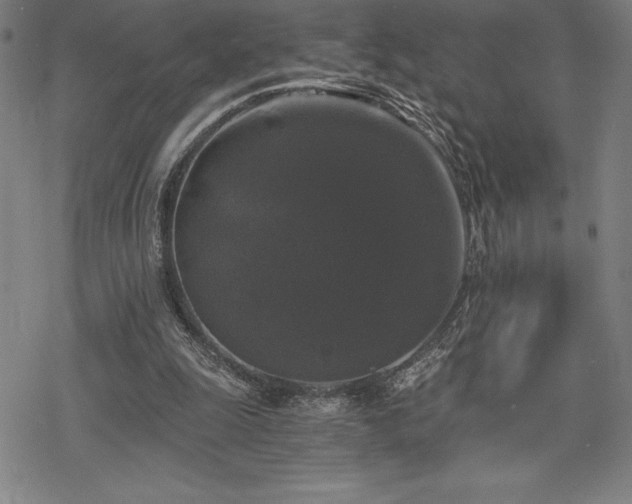 X0000068810247200605051152